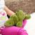 Peluche bouillotte crocodile Vert 1 - vertbaudet enfant 