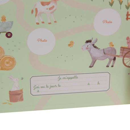 Boite à trésors de naissance Rose 4 - vertbaudet enfant 