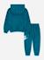 Ensemble deux pièces pour bébé sweat à capuche et pantalon confortable Bleu canard+Marron clair+Noir / doré+Vert foncé 2 - vertbaudet enfant 