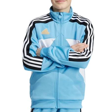 Sweat enfant garçon polyester Bleu 1 - vertbaudet enfant 
