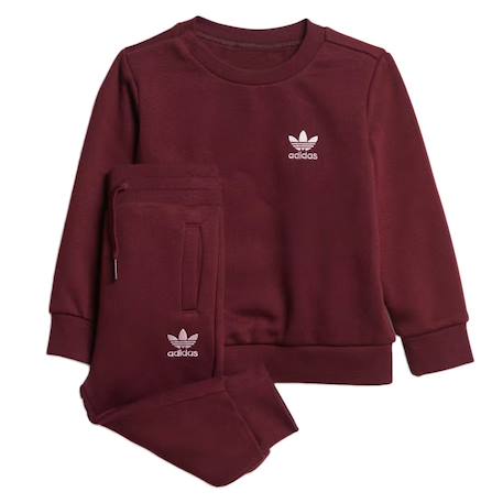 Ensemble de survêtement enfant garçon coton Bordeaux 1 - vertbaudet enfant 