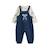 Ensemble salopette bébé et t-shirt mathéo Bleu 2 - vertbaudet enfant 