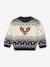 Pull de Noël bébé garçon Capsule Famille marine 2 - vertbaudet enfant 