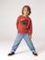 Sweat col rond garçon marine+tomette 15 - vertbaudet enfant 