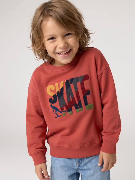 Sweat col rond garçon marine+tomette 8 - vertbaudet enfant 