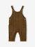 Ensemble salopette chemise bébé garçon olive 3 - vertbaudet enfant 
