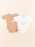 Lot de 2 bodies en coton - 1 mois Blanc, marron 1 - vertbaudet enfant 