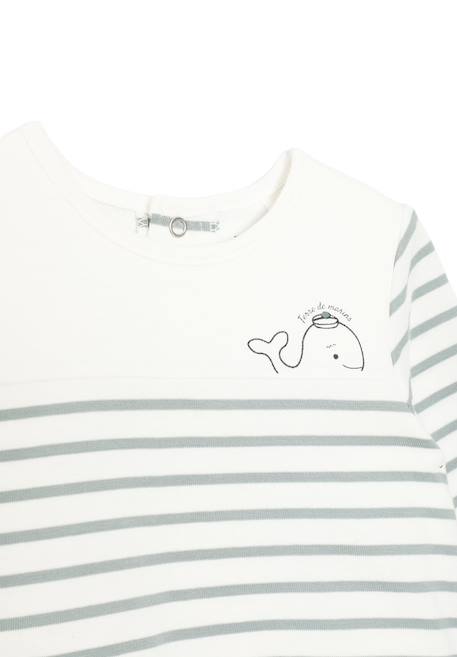 Body manches longues 100% coton bébé garçon Fond naturel raye vert d eau 4 - vertbaudet enfant 