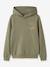 Sweat à capuche garçon avec inscription name it noir+olive 2 - vertbaudet enfant 