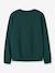 Sweat de Noël garçon name it avoine+bleu foncé+vert foncé 6 - vertbaudet enfant 
