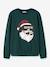 Sweat de Noël garçon name it avoine+bleu foncé+vert foncé 5 - vertbaudet enfant 