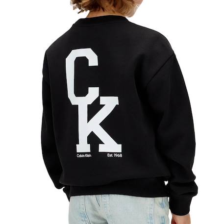 Sweat garçon relaxed crewneck Noir 3 - vertbaudet enfant 