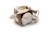 Cube d'activités spring garden Beige imprimé mouton+Blanc, rose, marron+Blanc, vert, marron+Bleu, vert d'eau, écru+Gris, marron, blanc+Rose, bleu, écru 1 - vertbaudet enfant 