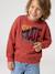 Sweat col rond garçon marine+tomette 9 - vertbaudet enfant 