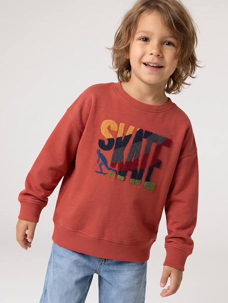 Sweat col rond garçon marine+tomette 10 - vertbaudet enfant 