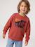 Sweat col rond garçon marine+tomette 10 - vertbaudet enfant 