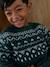 Pull jacquard col rond vert 1 - vertbaudet enfant 