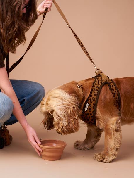 Gamelle en silicone rétractable pour chien et chat camel 3 - vertbaudet enfant 