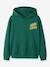 Sweat à capuche garçon avec inscription name it bleu foncé+vert 2 - vertbaudet enfant 