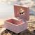 Boîte à bijoux musicale flamant rose safari friends Rose 5 - vertbaudet enfant 