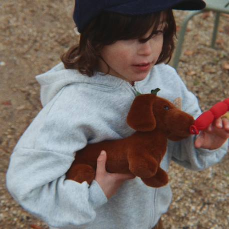 Peluche chien saucisse chorizo et son panier Marron, rouge, écru 6 - vertbaudet enfant 