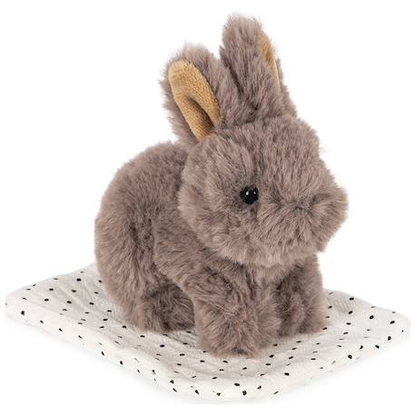 Peluche chien et sa caisse Gris, blanc, noir 2 - vertbaudet enfant 