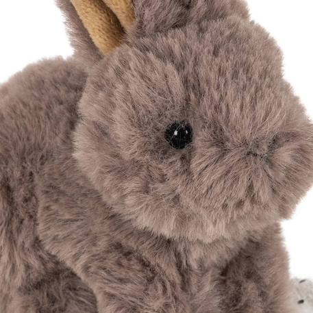 Peluche chien et sa caisse Gris, blanc, noir 4 - vertbaudet enfant 