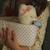 Peluche chat calore beige et son panier Beige, rose 4 - vertbaudet enfant 