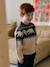 Pull jacquard garçon manches longues blanc chiné 1 - vertbaudet enfant 