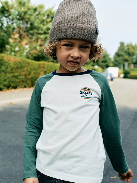 T-shirt manches longues garçon bordeaux+ocre+vert sauge 13 - vertbaudet enfant 