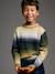 Pull garçon col rond écru 1 - vertbaudet enfant 