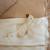 Drap de berceau little goose (70 x 100 cm) Blanc, beige 2 - vertbaudet enfant 
