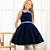 Robe fille en velours hepburn Bleu marine 1 - vertbaudet enfant 