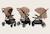 Poussette tout-terrain emma one 6-48 mois avec grandes roues et pliage rapide Beige sand+Green forest+Grey stone 2 - vertbaudet enfant 