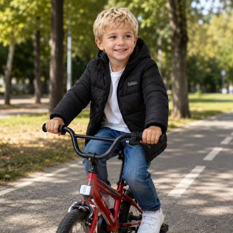 Doudoune garçon Gris+Kaki+Marine+Noir 20 - vertbaudet enfant 