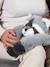 Podcool raton laveur gris 1 - vertbaudet enfant 
