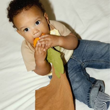 Maxi doudou - anneau de dentition - pipa la citrouille Orange 6 - vertbaudet enfant 