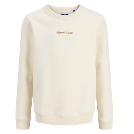 Sweat garçon norrebro Beige+Bleu 1 - vertbaudet enfant 