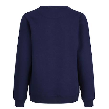 Sweat garçon norrebro Beige+Bleu 6 - vertbaudet enfant 