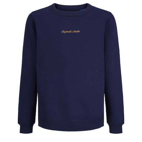 Sweat garçon norrebro Beige+Bleu 5 - vertbaudet enfant 