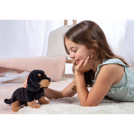 Peluche - chiot teckel debout – 24 cm Noir 2 - vertbaudet enfant 