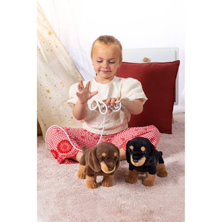 Peluche - chiot teckel debout – 24 cm Marron 3 - vertbaudet enfant 