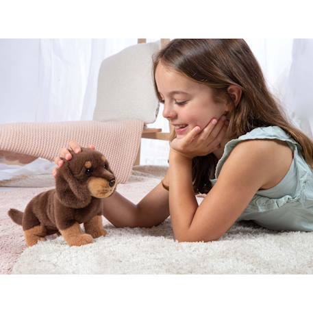 Peluche - chiot teckel debout – 24 cm Marron 2 - vertbaudet enfant 