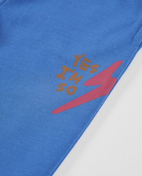 Pantalon de jogging garçon en molleton avec taille élastique Bleu 4 - vertbaudet enfant 
