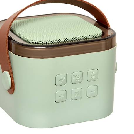 Set karaoké enceinte et micros - kara Rose+Vert 9 - vertbaudet enfant 