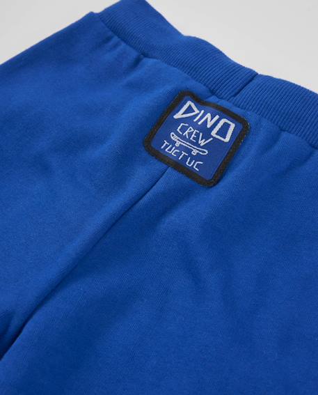 Pantalon de jogging garçon en molleton avec taille élastique Bleu 5 - vertbaudet enfant 
