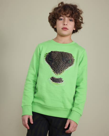 Sweat garçon en molleton avec imprimé graphique serpent Vert 1 - vertbaudet enfant 