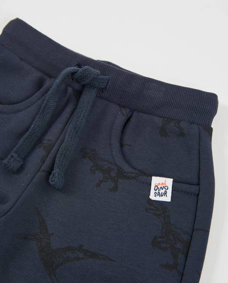 Pantalon en molleton pour garçon avec motif de dinosaures Bleu 3 - vertbaudet enfant 