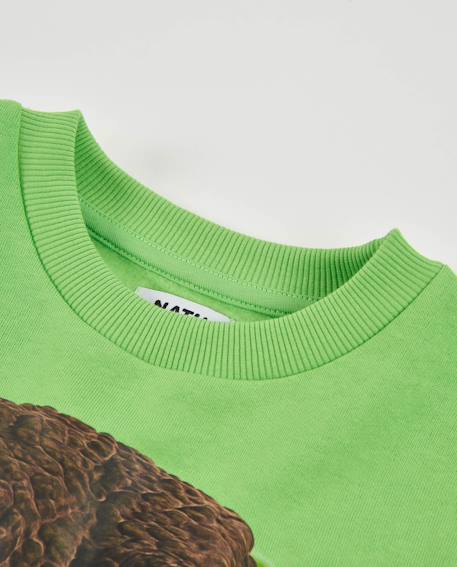 Sweat garçon en molleton avec imprimé graphique serpent Vert 4 - vertbaudet enfant 