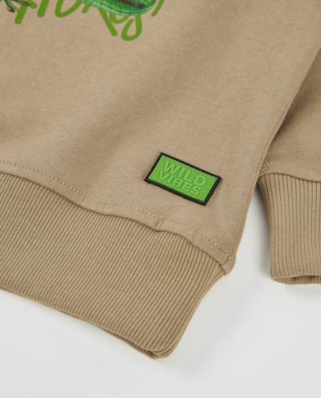 Sweat garçon en molleton avec imprimé gecko Beige 4 - vertbaudet enfant 